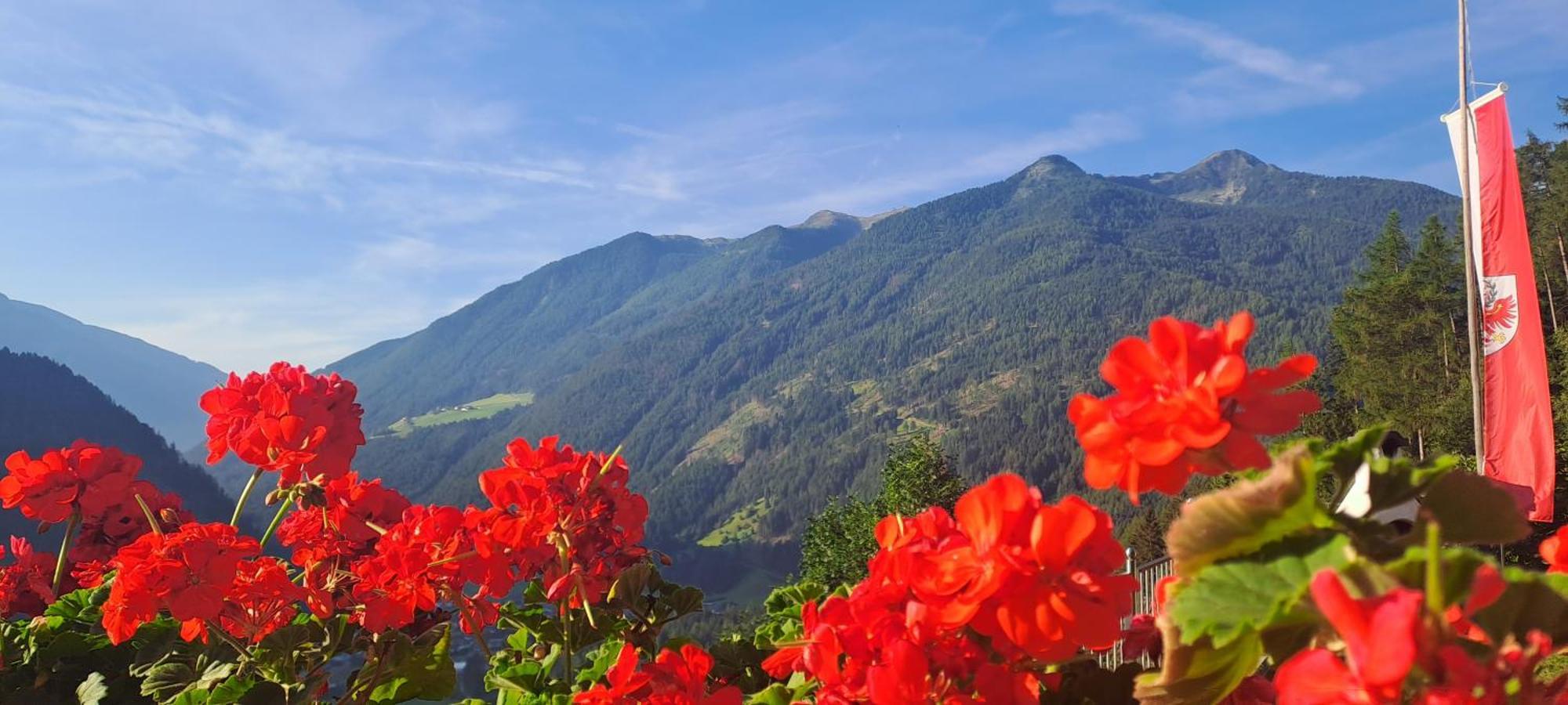דירות Ahrntal Grossstahlhof Mountain & Panorama View מראה חיצוני תמונה